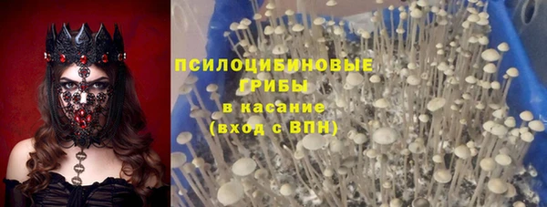 мдпв Навашино