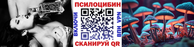 цены Белокуриха Галлюциногенные грибы прущие грибы